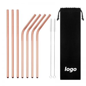 Stainless Steel Straw with Drawstring Bag